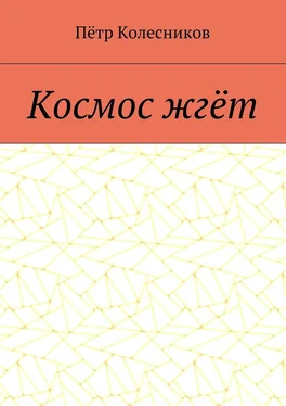 Пётр Колесников Космос жгёт обложка книги