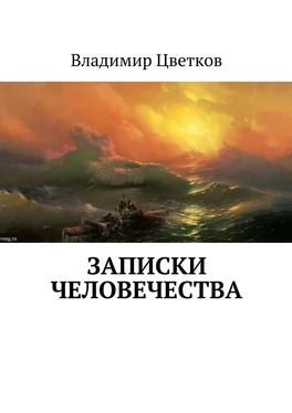 Владимир Цветков Записки Человечества обложка книги