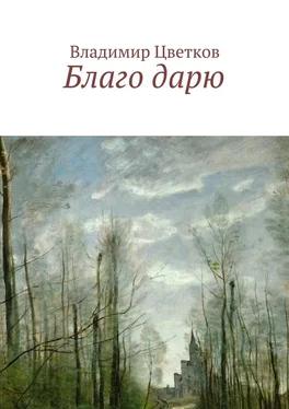 Владимир Цветков Благо дарю обложка книги