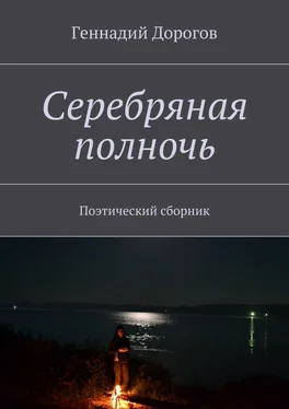 Геннадий Дорогов Серебряная полночь. Поэтический сборник обложка книги