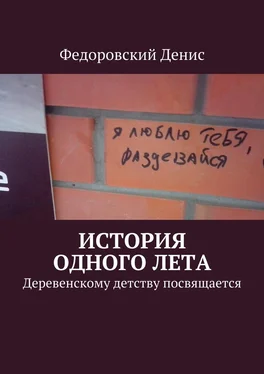 Федоровский Денис История одного лета. Деревенскому детству посвящается… обложка книги