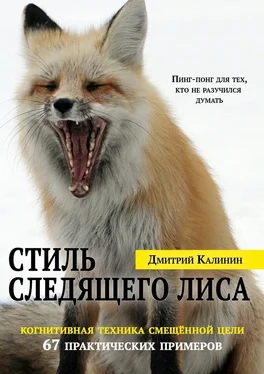 Дмитрий Калинин Стиль Следящего Лиса. 67 практических примеров обложка книги