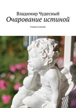 Владимир Чудесный Очарование истиной. Стихи и песни обложка книги