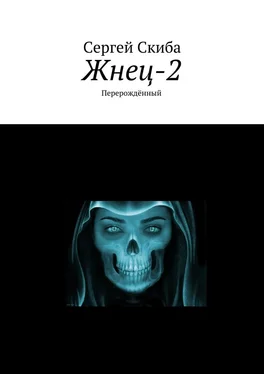 Сергей Скиба Жнец-2. Перерождённый обложка книги