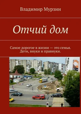 Владимир Мурзин Отчий дом. Самое дорогое в жизни – это семья. Дети, внуки и правнуки обложка книги