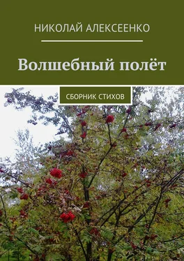 Николай Алексеенко Волшебный полёт. Сборник стихов обложка книги