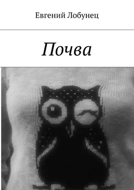 Евгений Лобунец Почва обложка книги