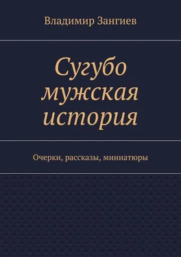 Владимир Зангиев Сугубо мужская история. Очерки, рассказы, миниатюры обложка книги