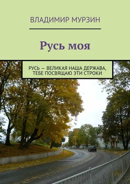 Владимир Мурзин Русь моя обложка книги