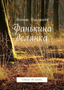 Виктор Виноградов Фанькина делянка. Стихи об охоте обложка книги