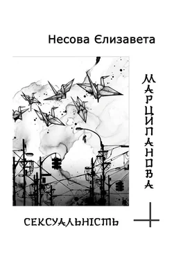 Єлизавета Несова Марципанова сексуальність обложка книги