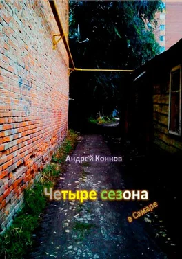 Андрей Коннов Четыре сезона обложка книги