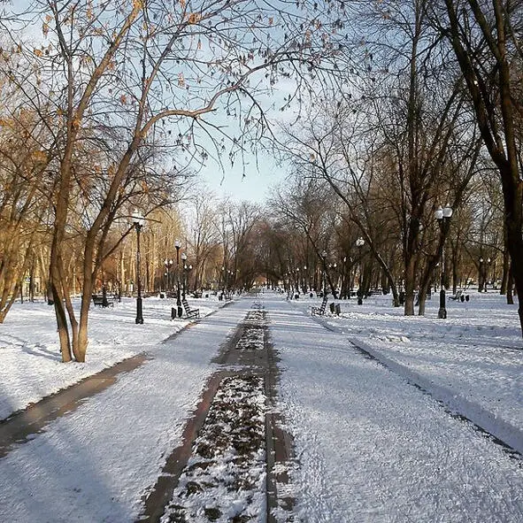 Унесенные ветром Сквер на ул Маломосковская ЯнварьПосле летнего декабря - фото 1