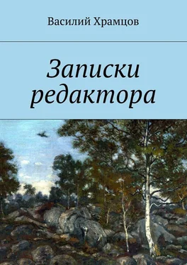 Василий Храмцов Записки редактора. Наблюдения в пути от журналиста до главного редактора обложка книги