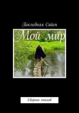 Последняя Сайен Мой мир. Сборник стихов обложка книги