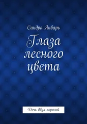 Сандра Январь - Глаза лесного цвета. Дочь двух королей