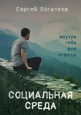 Сергей Богатков Социальная среда обложка книги