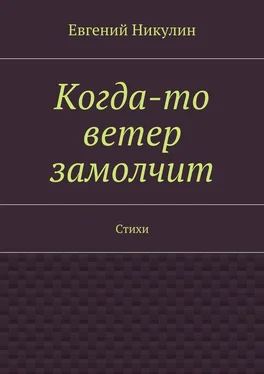 Евгений Никулин Когда-то ветер замолчит. Стихи обложка книги