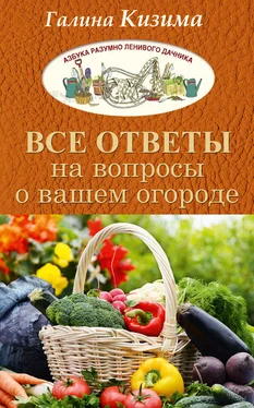 Галина Кизима Все ответы на вопросы о вашем огороде обложка книги