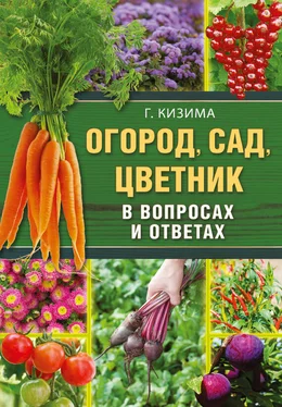 Галина Кизима Огород, сад, цветник в вопросах и ответах обложка книги