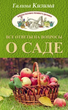 Галина Кизима Все ответы на вопросы о саде обложка книги