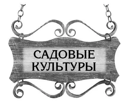 Общие проблемы Полезны ли птицы в саду Смотря какие Очень полезны синичка - фото 2