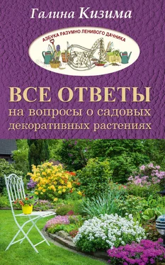 Галина Кизима Все ответы на вопросы о садовых декоративных растениях обложка книги