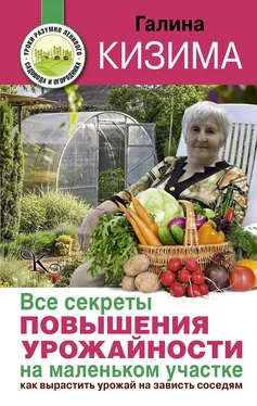 Галина Кизима Все секреты повышения урожайности на маленьком участке. Как вырастить урожай на зависть соседям обложка книги