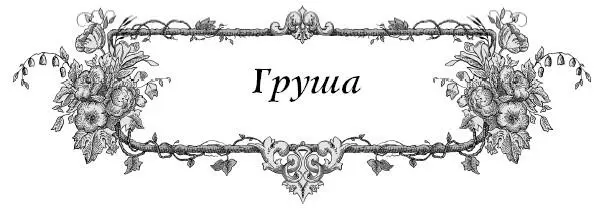 Почему плохо плодоносит груша Потому что она наверно растет у вас одна - фото 10