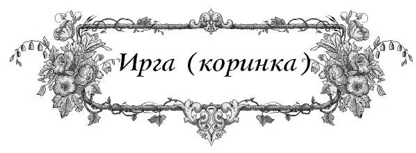 Коринка вымахала до 34 м Все ягоды наверху и достаются только птицам Что - фото 14