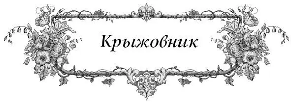 Какие сорта крыжовника не подвержены мучнистой росе Если вам надоело вести - фото 16