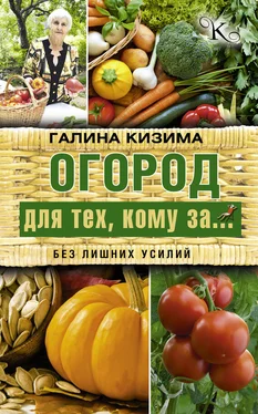 Галина Кизима Огород для тех, кому за… без лишних усилий обложка книги