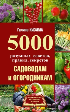 Галина Кизима 5000 разумных советов, правил, секретов садоводам и огородникам обложка книги