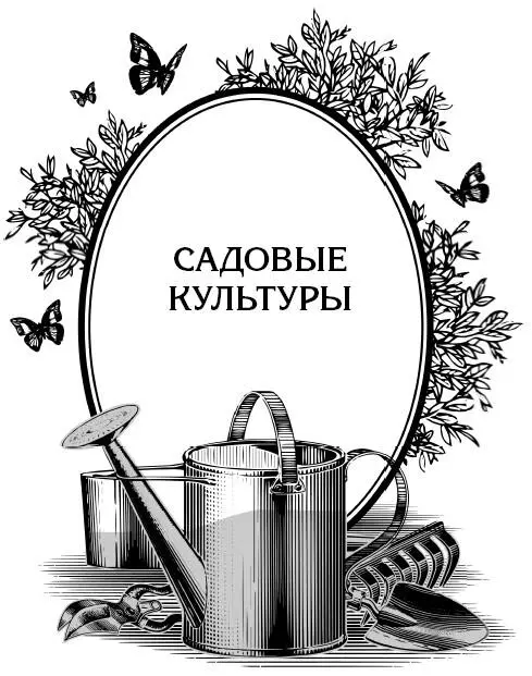 Общие проблемы Полезны ли птицы в саду Смотря какие Очень полезны синичка - фото 1