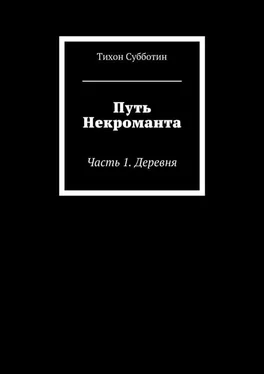 Тихон Субботин Путь Некроманта. Часть 1. Деревня обложка книги