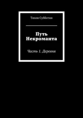 Тихон Субботин - Путь Некроманта. Часть 1. Деревня