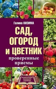 Галина Кизима Сад, огород и цветник. Проверенные приемы обложка книги