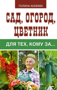 Галина Кизима Сад, огород, цветник для тех, кому за… обложка книги