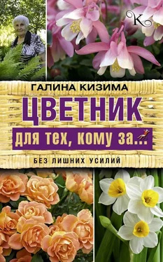 Галина Кизима Цветник для тех, кому за… без лишних усилий