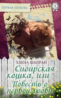 Елена Шапран Сибирская кошка, или Повесть о первой любви обложка книги