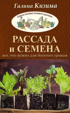 Галина Кизима Рассада и семена. Все, что нужно для богатого урожая обложка книги