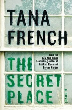 Tana French The Secret Place обложка книги