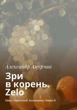 Александр Амурчик Зри в корень. Zelo. Цикл «Прутский Декамерон». Книга 8 обложка книги