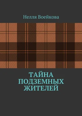 Воейкова Нелля Тайна подземных жителей обложка книги