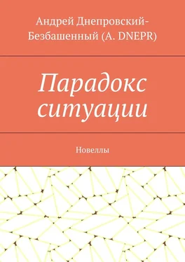 Андрей Днепровский-Безбашенный (A. DNEPR) Парадокс ситуации. Новеллы обложка книги