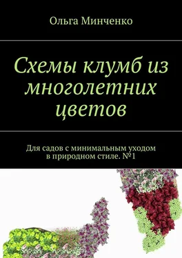 Ольга Минченко Схемы клумб из многолетних цветов. Для садов с минимальным уходом в природном стиле. №1 обложка книги