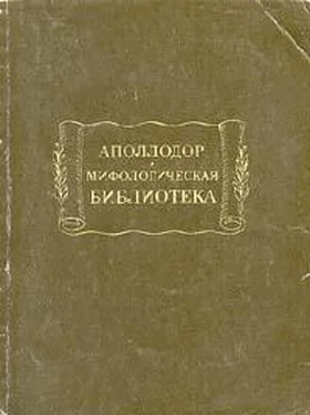 Аполлодор Мифологическая библиотека обложка книги