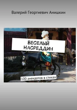 Валерий Анишкин Веселый Насреддин. 100 анекдотов в стихах обложка книги