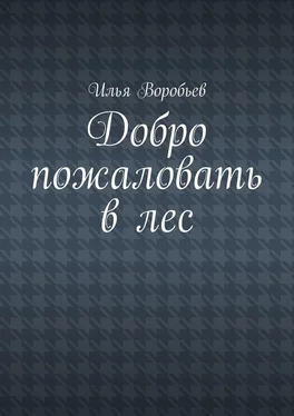 Илья Воробьев Добро пожаловать в лес обложка книги