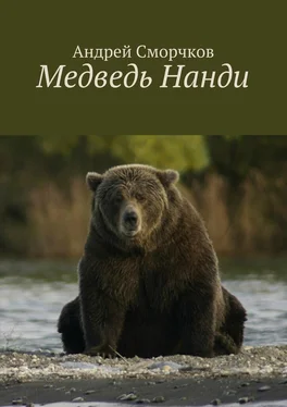 Андрей Сморчков Медведь Нанди обложка книги